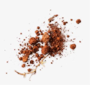 Picture Of Dirt - Illustration #214007