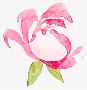 1 - Garden Roses #214339