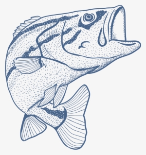 Fishing Rod Sketch Fish - Do Not Microwave Fish #214644