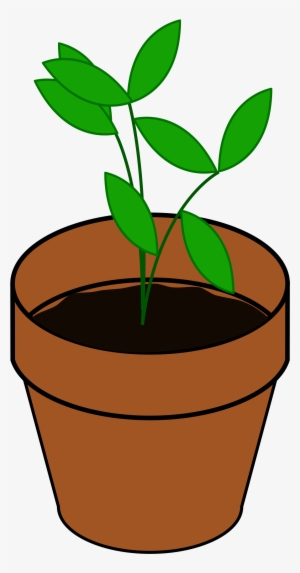 Pot Plant Clipart Terracotta - Plant Clip Art #214827