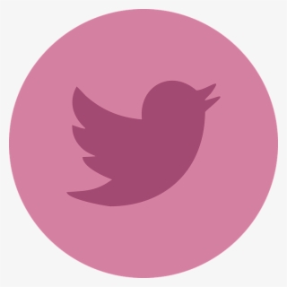 Twitter, Social Media, Social, Networking, Internet - Twitter Pink Logo Png #215004