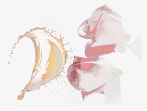 Honey - Rose - - Illustration #215095