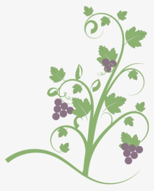 Free Fruit Clipart, Animations And Vectors - Vine With Fruit Clip Art #215808