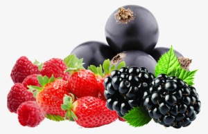 Soft Fruits - Oshea Neempure Anti Acne & Pimple Face Wash - 120g #215944