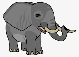 African Savannah Elephant - Wiki #215974