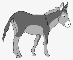Donkey Panda Free Images Donkeys - Donkey Clipart #216343