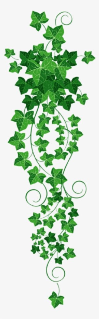 Decoupage Paper, Ivy Tattoo, Cut Paper, Rug Hooking - Ivy Clipart Png #216390