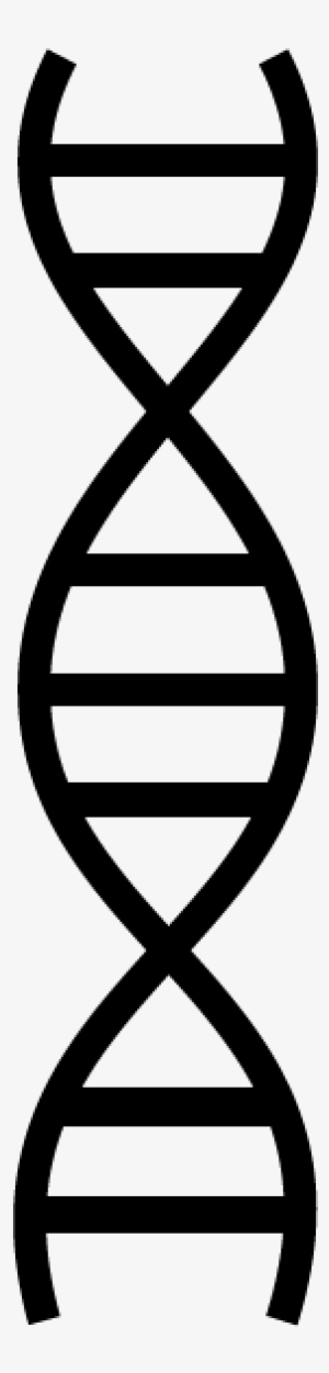 Dna Png #216518