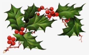 Free Download Christmas Ivy Clipart - Christmas Elements Png #216567