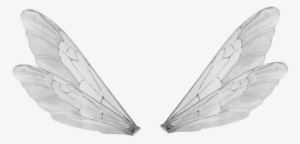 Fairy Wings Png Transparent Fairy Wings Png Image Free Download Pngkey - rainbow wings roblox wings code png image transparent