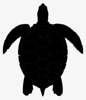 turtle silhouette png