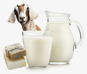 Local & Fresh - Home #217248