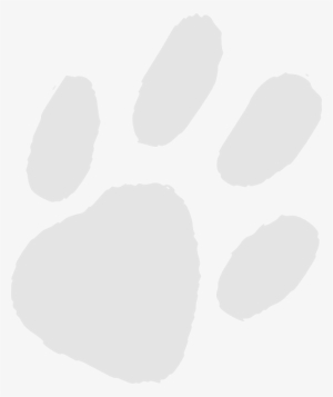 How To Set Use Very Light Gray Paw Print Icon Png #217437
