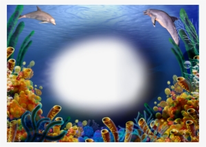 Water Hd Transparent Photo Frames #217950