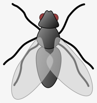 28 Collection Of House Fly Clipart - Clip Art Picture Of Fly #218193