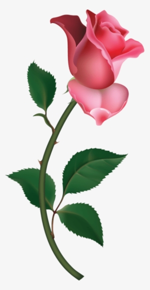 All Images From Collection - Rose Bud Clip Art #218195