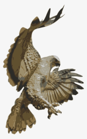 Hawk Pouncing #218733 Hawk Pouncing #218733