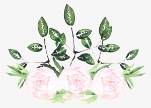 This Graphics Is White Noble Flower Transparent Decorative - Watercolor Painting #219400