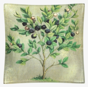 Blueberries Blueberries - Placemat #219893