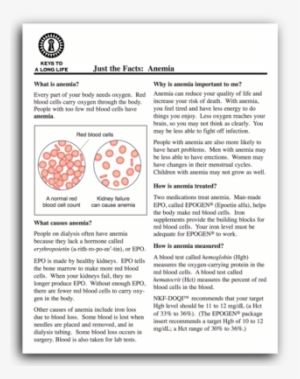 Fact Sheets - Life Options #2100918