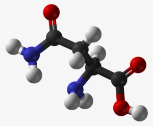 L Asparagine 3d Balls - Cd Spectrum Of Enantiomers #2102381