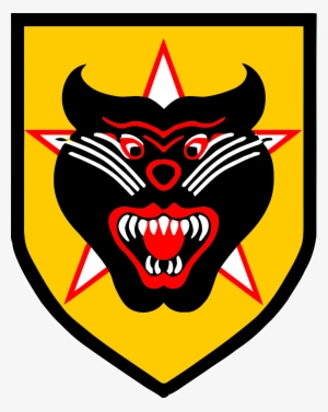 Vietnamese Rangers Ssi - Biet Dong Quan #2103032