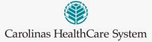 Rp Carolinas Healthcare System 1024×290 - Levine Cancer Institute Logo #2103552