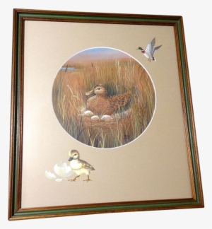 Jeanne Horak, Mallard Duck On A Nest, Works On Paper - Painting #2103629