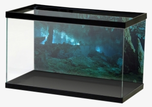 Aquariumvinyl Stalagmightcave #2104293