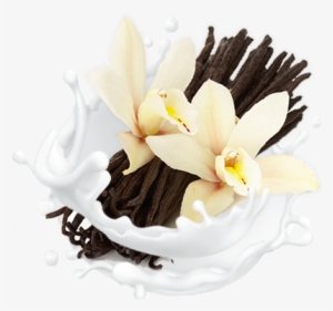 All Natural Vanilla Bliss - Vanilla Png #2104342