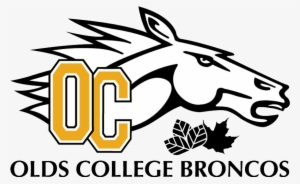 Broncos-invisible - Olds Broncos #2105104