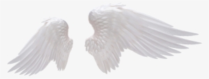 White Angel Wings Png Photo - Angel Wings Png #2106081