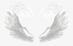 Report Abuse - Water Bird #2106283