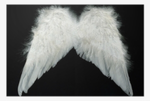 White #2106318