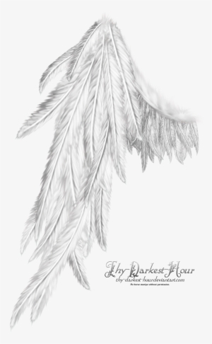 Wings - Wing White #2106572