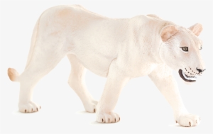 Animal Planet: White Lioness #2106729