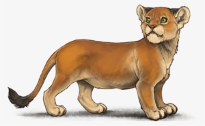 Charmed Dwarf Lioness Lioden #2106835