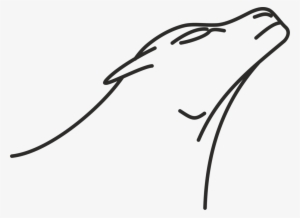 Line Art Drawing Lion Monochrome - Drawing #2106918