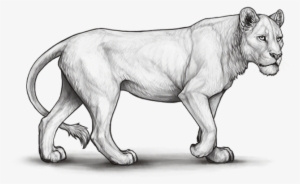 Lioden Neutral Lineart #2106921