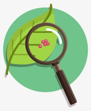 Nature Vs - Nurture - Nature Vs Nurture Transparent #2107109