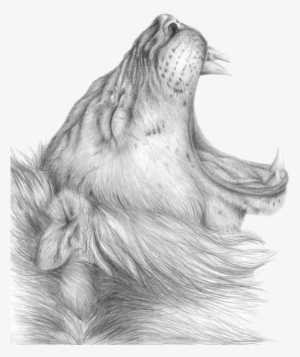 Lioness Roar Png Clipart - Cel Dintai - Sando - Download #2107130