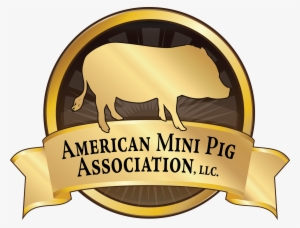 Mini Pig Ice Cream Cake For All Occassions - American Mini Pig Association #2107366