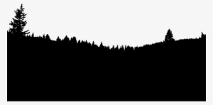 By Gdj - Shortleaf Black Spruce #2107969