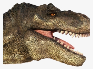 Tyrannosaurus Rex Clipart Transparent - T Rex Head Png #2109072