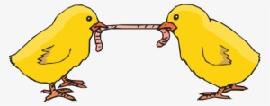 This Free Clipart Png Design Of Chicks Fighting For #2109182