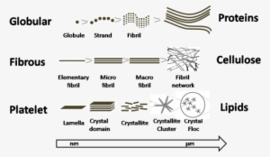 The Large Potential Of Small Angle Scattering And Nmr - Small-angle Scattering #2110798