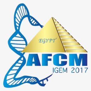 Toggle Navigation - .org #2111177