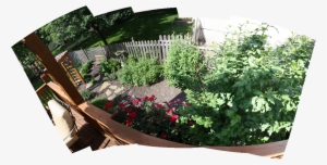 Spring Time Photos - Picket Fence #2111567