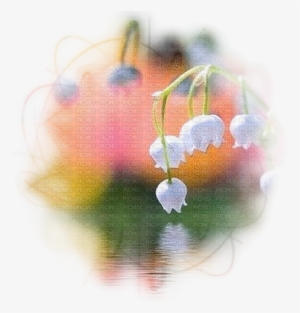 Loly33 Fond Muguet - Flower #2111949