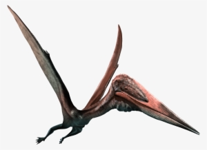 Pterodactyl - Png Pterosaurs #2113166